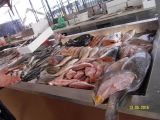 mercato del pesce di Aveiro