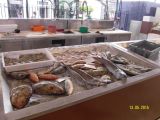 mercato del pesce di Aveiro